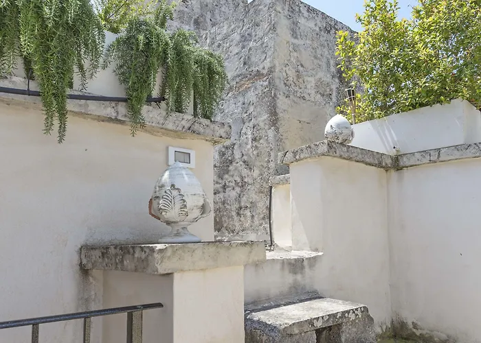 Bed & Breakfast La Loggia Dei Rayno