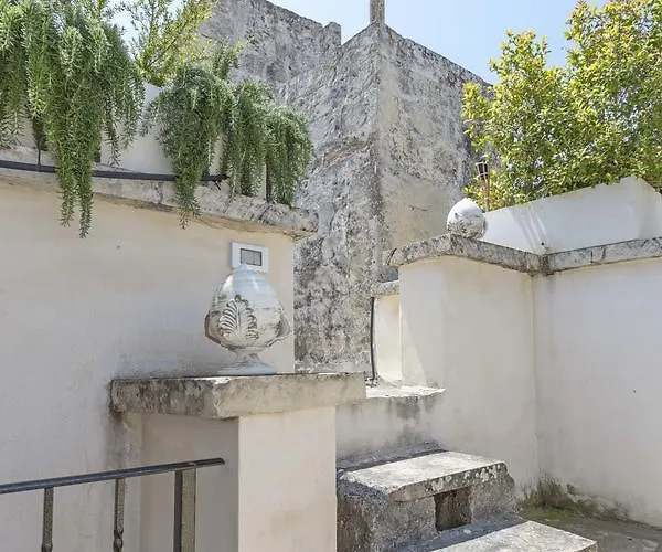 Bed & Breakfast La Loggia Dei Rayno